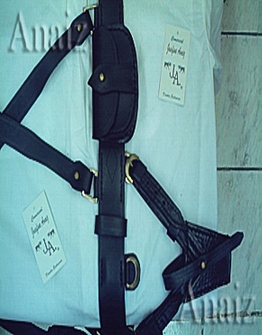 Click en la imagen para ampliar