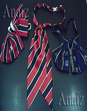 Has click aqu� para ingresar